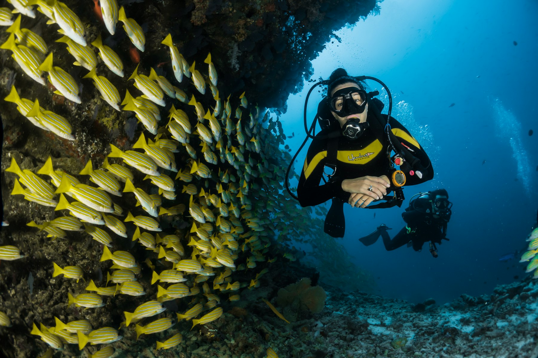 Marine park waters (illustrative of Sea World)